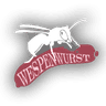 Wespenwurst Studios logo